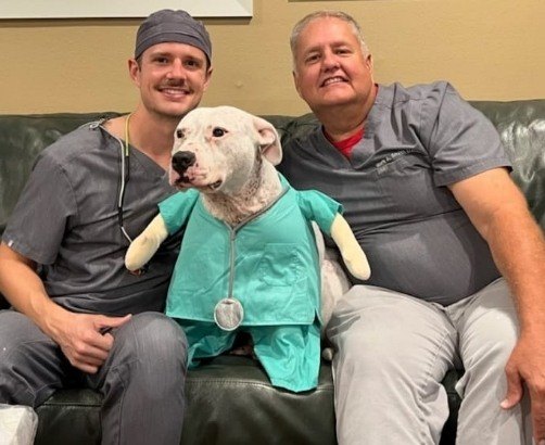 Dentists and dog smiling in dental office